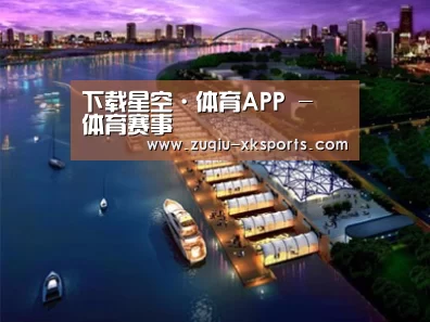 案例展示八