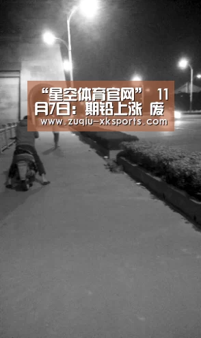 “星空体育官网”
11月7日：期铅上涨 废电池局地回升！新电池促销！
