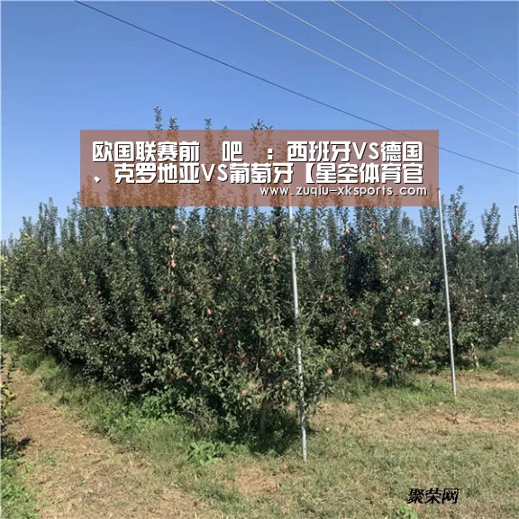 
欧国联赛前嘚吧嘚：西班牙VS德国、克罗地亚VS葡萄牙【星空体育官网】